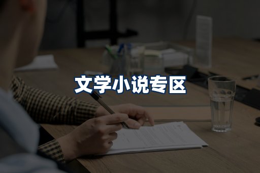 文学小说PDF展示